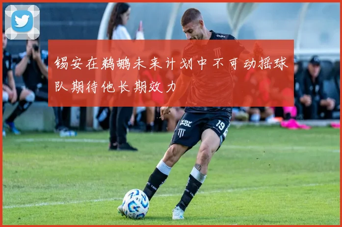 锡安在鹈鹕未来计划中不可动摇球队期待他长期效力